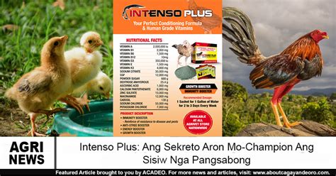 conditioning ng manok panabong|Sagupaan Superfeeds.